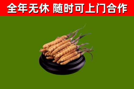 西吉县烟酒回收冬虫夏草.jpg